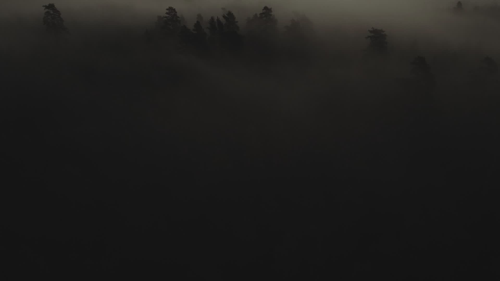 Mist over a dark pine forest, then Trollheim figures and an open book